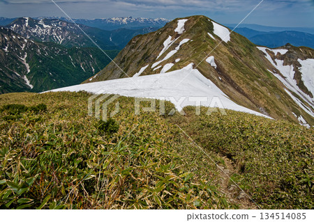 Snow-covered Mt. Mokura, Mt. Sennokura, and Mt. Naeba seen from Mt. Ichinokura in the Tanigawa Mountain Range 134514085