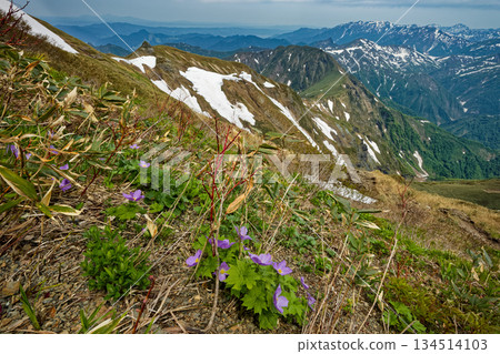 View of Shirane-Aoi on Mt. Mokura and Mt. Takeno and Mt. Makihata 134514103