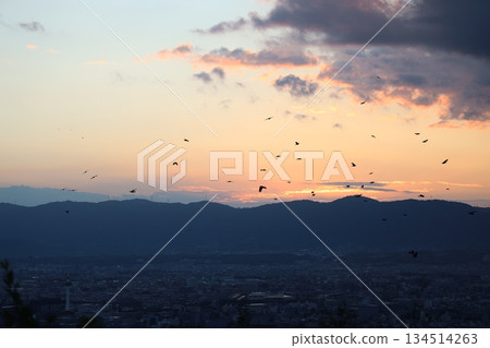 黃昏的城市和飛鳥 黃昏的城市和飛鳥 134514263