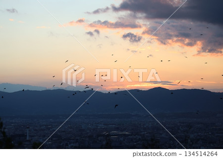 黃昏的城市和飛鳥 黃昏的城市和飛鳥 134514264