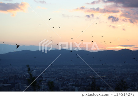 黃昏的城市和飛鳥 黃昏的城市和飛鳥 134514272