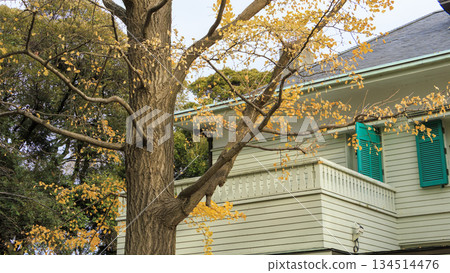 Ellismann boat in autumn leaves 134514476