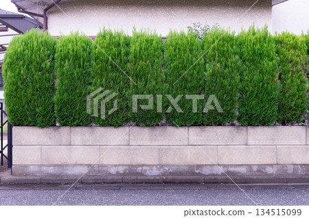street wall background ,Industrial background, empty grunge urban street with warehouse brick wall street wall background ,Industrial background, empty grunge urban street with warehouse brick wall 134515099