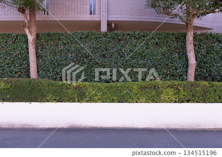 street wall background ,Industrial background, empty grunge urban street with warehouse brick wall 134515196