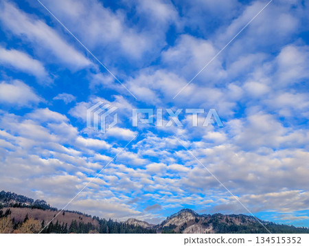 December blue sky 134515352