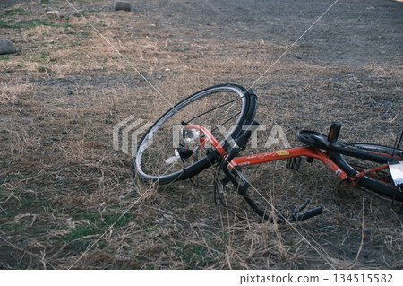 一輛紅色公路自行車被遺棄在荒蕪的田野裡。 134515582