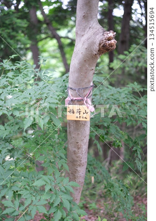 A sign for "Inariyama 400m" on a hiking trail through a forest of fresh greenery 134515694