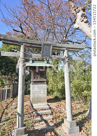 Walking around Koshigaya: Inari Shrine in Gotenmachi, Koshigaya City 134515722