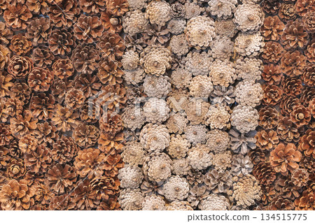 Neat and nice dried flower decorations 134515775