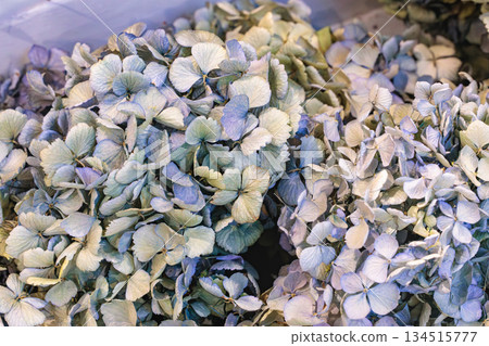 整潔漂亮的干花裝飾 134515777