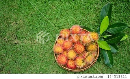Ripe rambutan sweet organic tropical fruit in basket, Harvest organic garden Ripe rambutan sweet organic tropical fruit in basket, Harvest organic garden 134515811