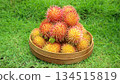 Pile of sweet rambutan in basket. Harvest Tropical Organic Garden  134515819