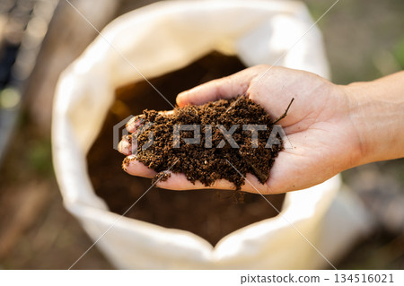Farmers checking bags of organic compost by hand. Checking soil preparation and fertilizer. Farmers checking bags of organic compost by hand. Checking soil preparation and fertilizer. 134516021