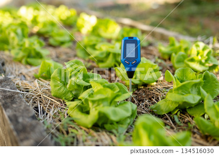 用於測量田間土壤酸鹼度的pH計 土壤準備和科學農業管理 用於測量田間土壤酸鹼度的pH計 土壤準備和科學農業管理 134516030