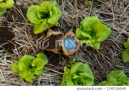 Top view of chemical fertilizer and organic compost placed in the field. Comparison of chemical and natural. Top view of chemical fertilizer and organic compost placed in the field. Comparison of chemical and natural. 134516040