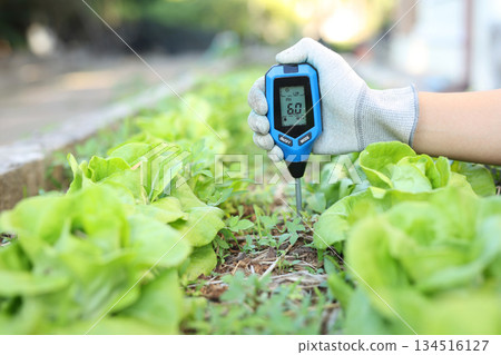 A gloved hand inserts a soil acidity meter into the soil of a field to measure its acidity. Smart agriculture and soil cultivation. 134516127