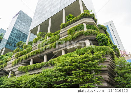 新加坡皮克林百樂酒店 134516553