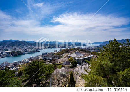 從千光寺山頂觀景台眺望尾道市的春日景色 134516714