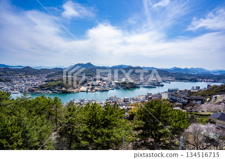 從千光寺山頂觀景台眺望尾道市的春日景色 134516715