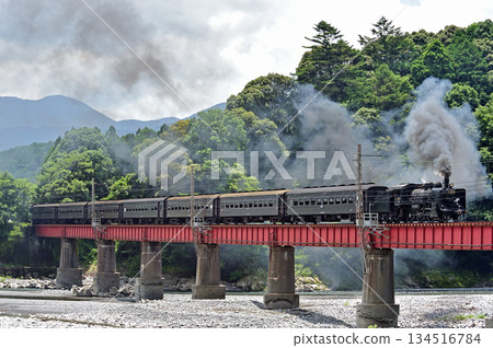 Oigawa Railway Nukuri-Kawane Onsen Sasama-to C56-44 134516784