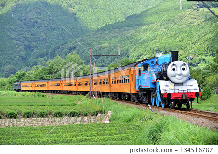 Oigawa Railway, Nukuri-Ieyama, C11-227 Oigawa Railway, Nukuri-Ieyama, C11-227 134516787
