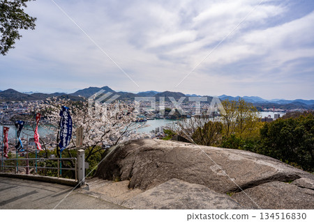 櫻花和尾道市景 櫻花和尾道市景 134516830