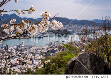 櫻花和尾道市景 134516831