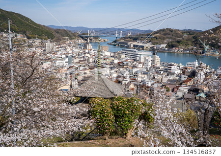 櫻花和尾道市景 134516837