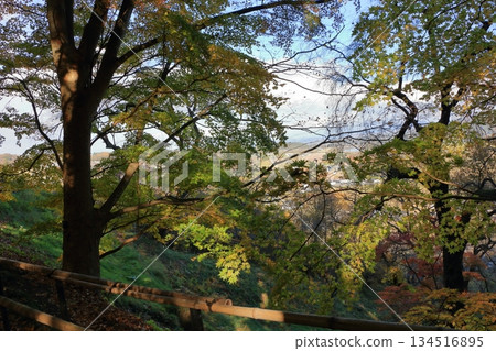 The colored autumn leaves, koyo, at Chusonji Buddhist Temple in Hiraizumi town, Iwate prefecture of Japan in mid-November The colored autumn leaves, koyo, at Chusonji Buddhist Temple in Hiraizumi town, Iwate prefecture of Japan in mid-November 134516895
