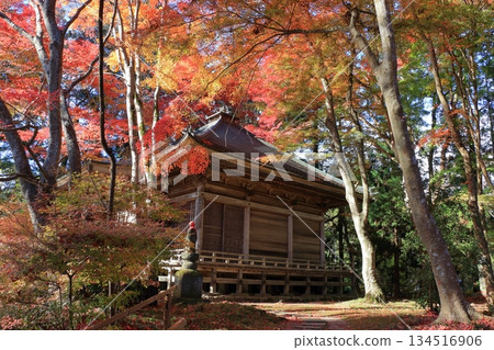 The colored autumn leaves, koyo, at Chusonji Buddhist Temple in Hiraizumi town, Iwate prefecture of Japan in mid-November The colored autumn leaves, koyo, at Chusonji Buddhist Temple in Hiraizumi town, Iwate prefecture of Japan in mid-November 134516906