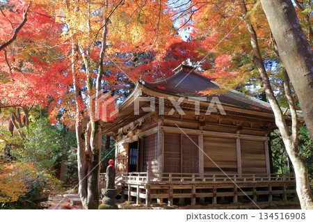 The colored autumn leaves, koyo, at Chusonji Buddhist Temple in Hiraizumi town, Iwate prefecture of Japan in mid-November The colored autumn leaves, koyo, at Chusonji Buddhist Temple in Hiraizumi town, Iwate prefecture of Japan in mid-November 134516908