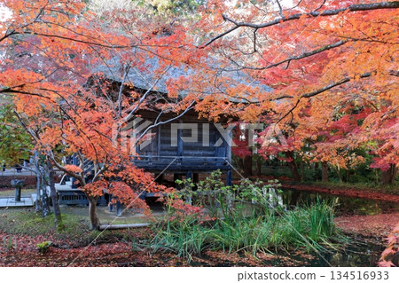 The colored autumn leaves, koyo, at Chusonji Buddhist Temple in Hiraizumi town, Iwate prefecture of Japan in mid-November The colored autumn leaves, koyo, at Chusonji Buddhist Temple in Hiraizumi town, Iwate prefecture of Japan in mid-November 134516933