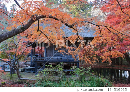 The colored autumn leaves, koyo, at Chusonji Buddhist Temple in Hiraizumi town, Iwate prefecture of Japan in mid-November The colored autumn leaves, koyo, at Chusonji Buddhist Temple in Hiraizumi town, Iwate prefecture of Japan in mid-November 134516935