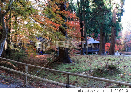 The colored autumn leaves, koyo, at Chusonji Buddhist Temple in Hiraizumi town, Iwate prefecture of Japan in mid-November 134516940