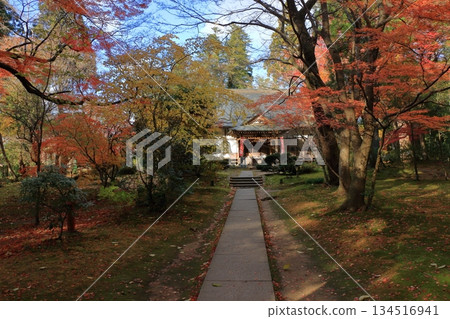 The colored autumn leaves, koyo, at Chusonji Buddhist Temple in Hiraizumi town, Iwate prefecture of Japan in mid-November The colored autumn leaves, koyo, at Chusonji Buddhist Temple in Hiraizumi town, Iwate prefecture of Japan in mid-November 134516941