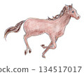 Running horses 134517017