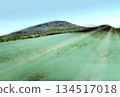 Meadow landscape 134517018
