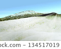 Snowy landscape of the meadow 134517019