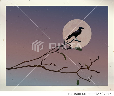 Old photograph of silhouette crow perched on a leafless branch have full moon and dramatic sky background fade condition graphic illustration have blank space. Old photograph of silhouette crow perched on a leafless branch have full moon and dramatic sky background fade condition graphic illustration have blank space. 134517447