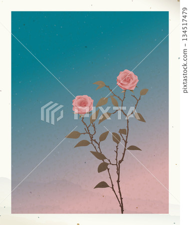 Old photograph of silhouette pink roses with twilight sky background with stained effect graphic illustration have blank space. Old photograph of silhouette pink roses with twilight sky background with stained effect graphic illustration have blank space. 134517479
