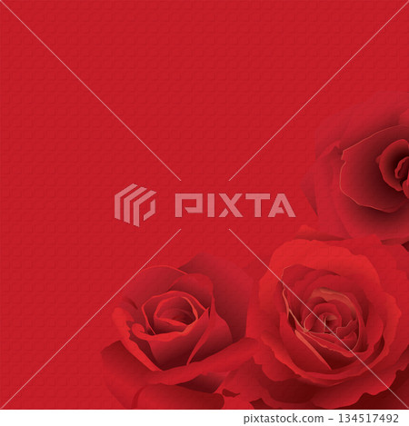 Red rose flower on red bond paper texture square background graphic illustration have blank space. 134517492