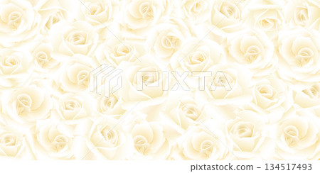 Blooming white rose flowers pattern background graphic illustration. Blooming white rose flowers pattern background graphic illustration. 134517493