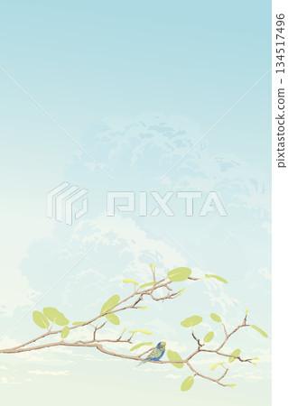 A bird perched on a tree branch with clouds and blue sky vertical background graphic illustration have blank space. 134517496