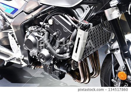 Motorcycle Engine Motorcycle Engine 134517860