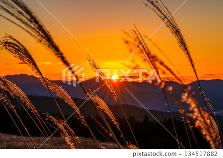 夕陽西沉,落日映照著索尼山脈,將天空和高原染成金色,金色的銀草也隨之綻放。 ① 夕陽西沉,落日映照著索尼山脈,將天空和高原染成金色,金色的銀草也隨之綻放。 ① 134517882