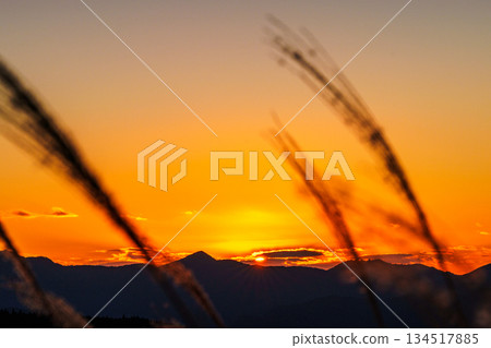 The sun sets behind the Soni mountain range, painting the sky and plateau golden, and the golden silvergrass 4 134517885
