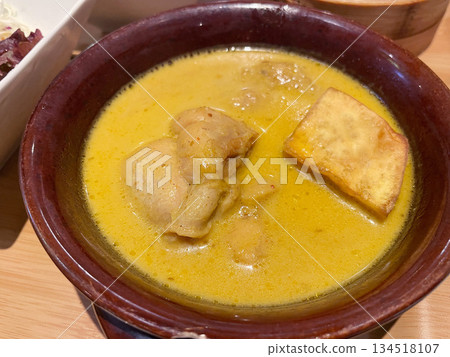 Vietnamese Chicken Curry 134518107