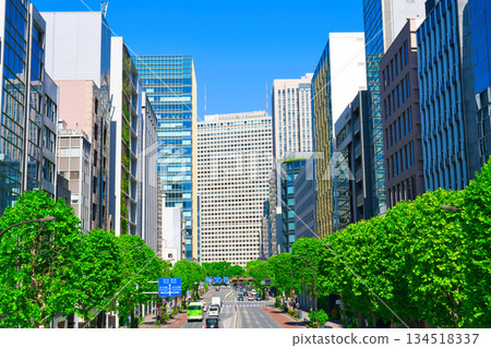 [Tokyo] May - Toranomon's skyline seen from the direction of Shimbashi (Route 405) 134518337