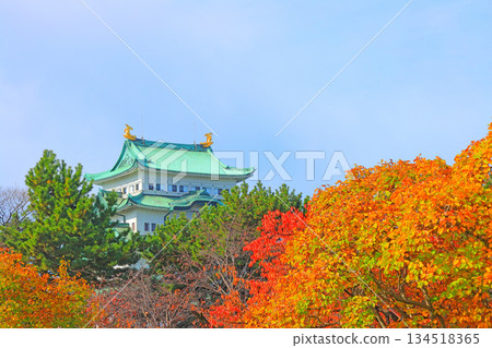 愛知縣名古屋市名古屋城的秋景 134518365