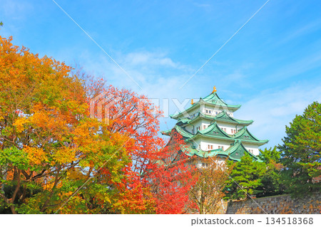 愛知縣名古屋市名古屋城的秋景 134518368